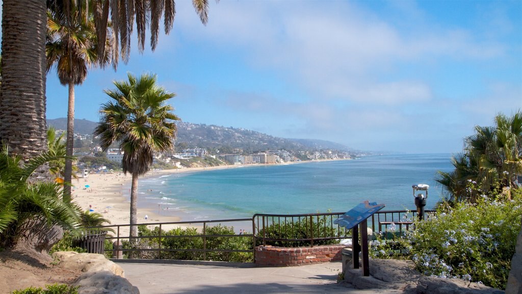 Laguna Beach que inclui cenas tropicais, uma cidade litorânea e paisagem