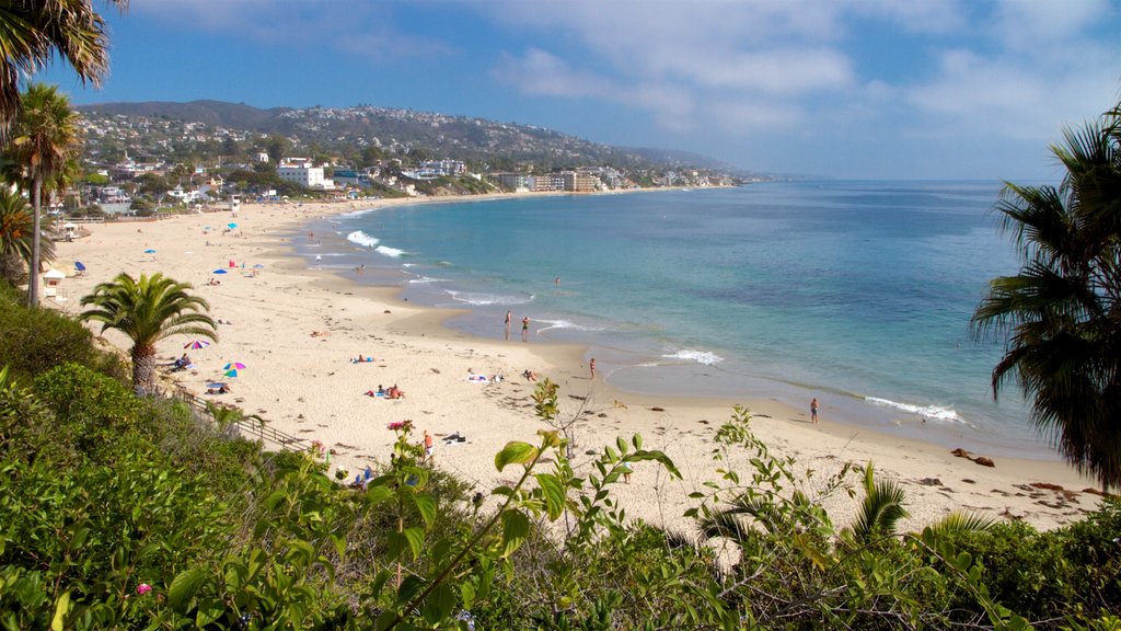 Laguna Beach showing a beach and landscape views