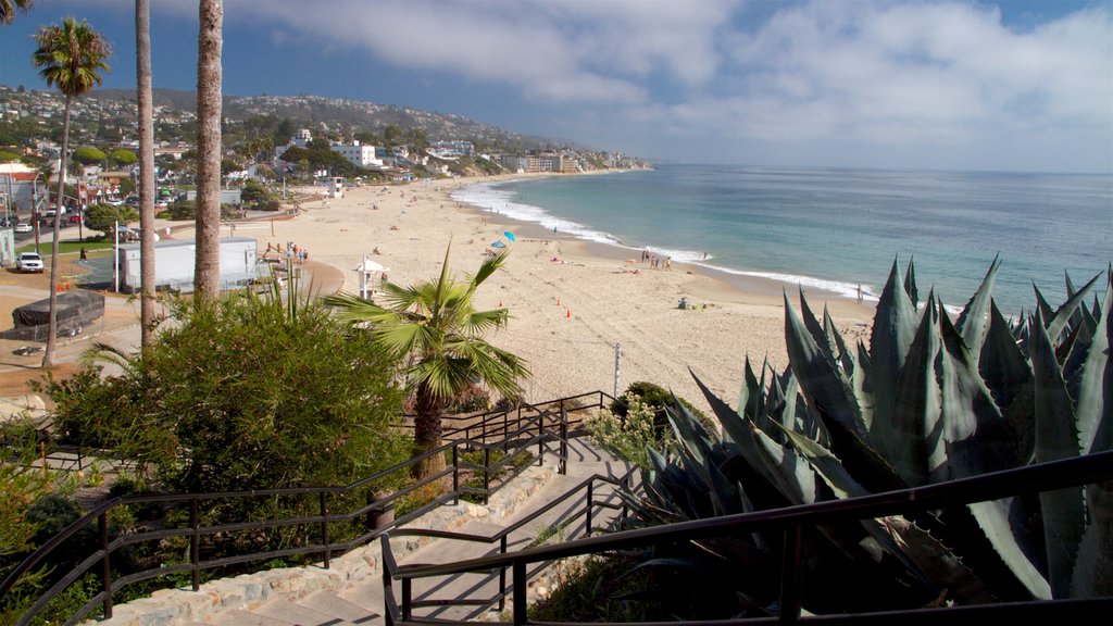 Laguna Beach showing landscape views and a beach