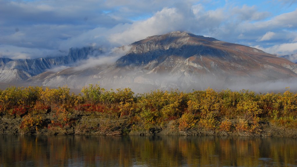 Parc national et réserve Gates of the Arctic montrant montagnes, lac ou étang et brume ou brouillard