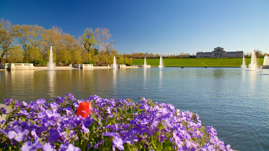 St. Louis Art Museum featuring a lake or waterhole, wildflowers and a fountain