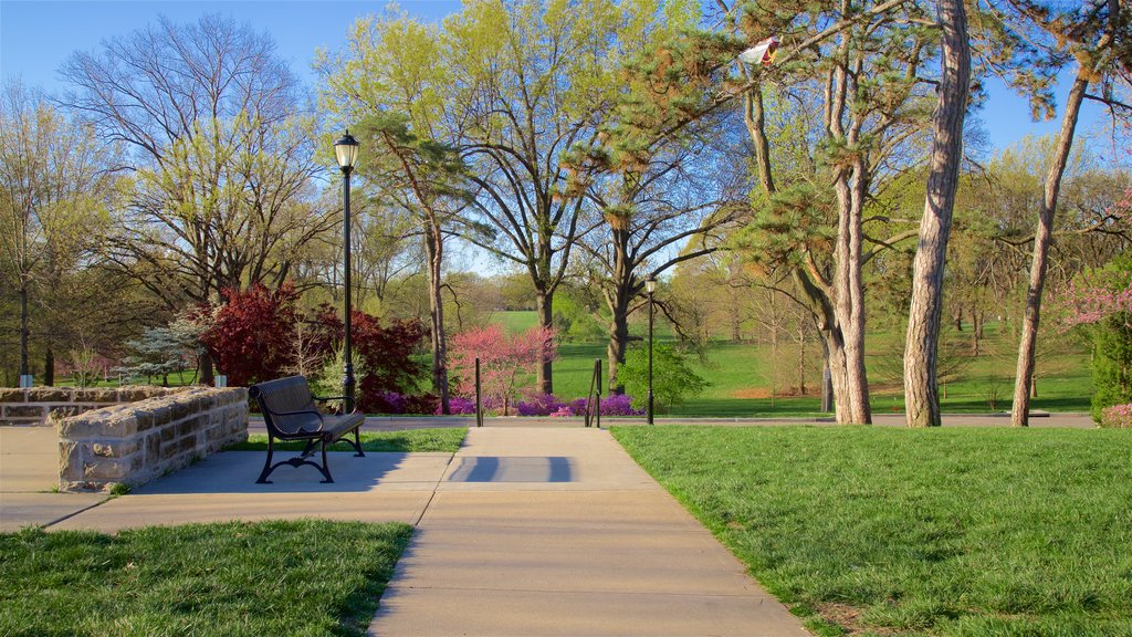 Loose Park showing a garden