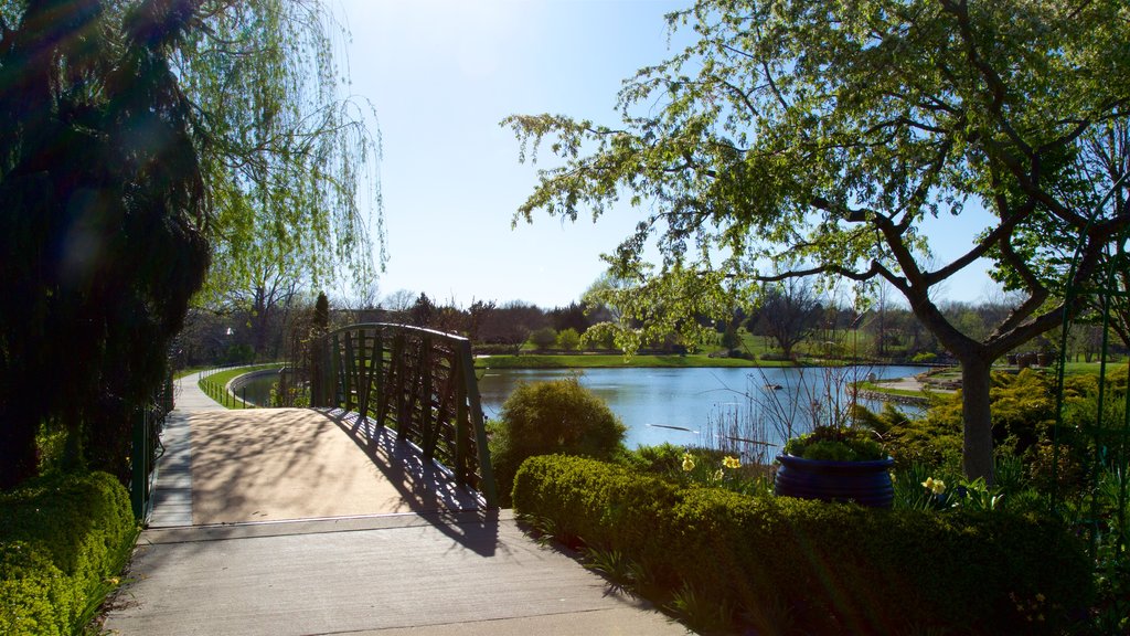 Kansas City ofreciendo jardín, un puente y un lago o espejo de agua