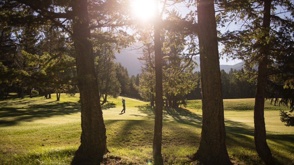 Hot Springs Cove featuring a sunset and golf as well as an individual male