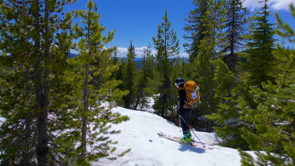 Mount St. Helens que inclui neve e esqui na neve assim como uma mulher sozinha