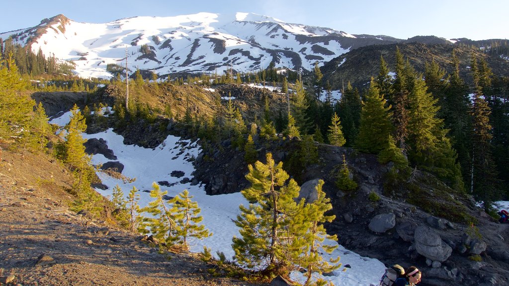 Mount St. Helens featuring tranquil scenes and snow