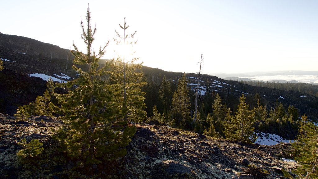 Mount St. Helens which includes tranquil scenes