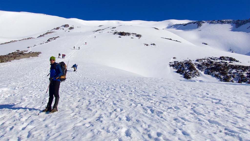 Mount St. Helens mostrando neve e cenas tranquilas assim como um homem sozinho