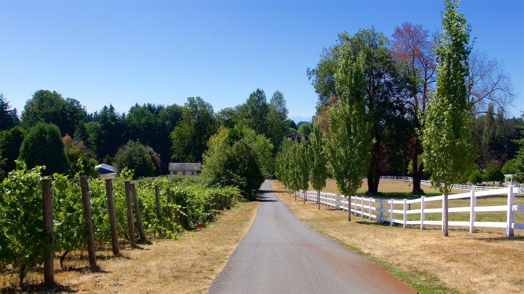 Woodinville menunjukkan lahan pertanian