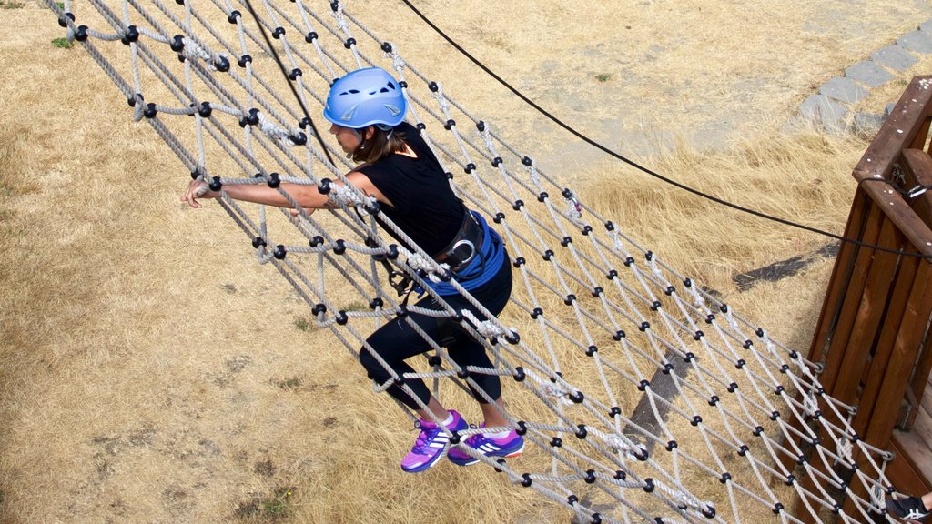 Adventura Aerial Adventure Park featuring a suspension bridge or treetop walkway as well as an individual female