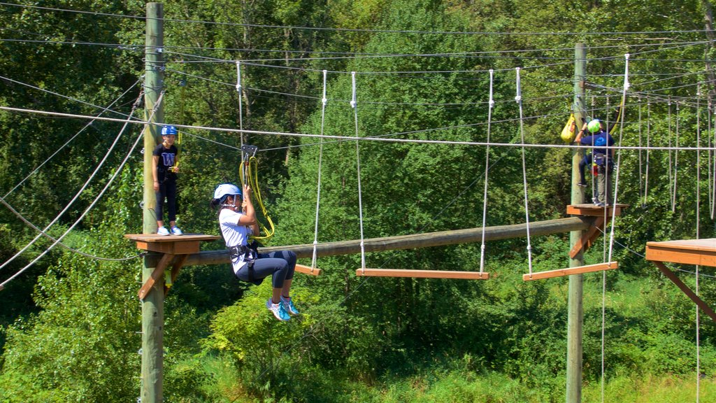 Adventura Aerial Adventure Park som viser en hængebro eller gangbro i trætoppene såvel som en lille gruppe mennesker