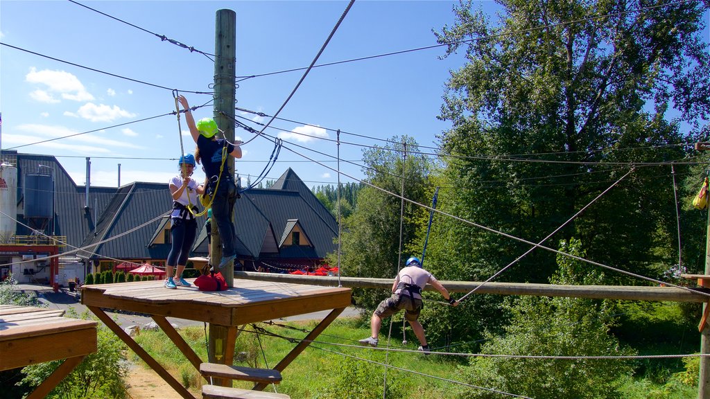 Adventura Aerial Adventure Park featuring a suspension bridge or treetop walkway as well as a small group of people