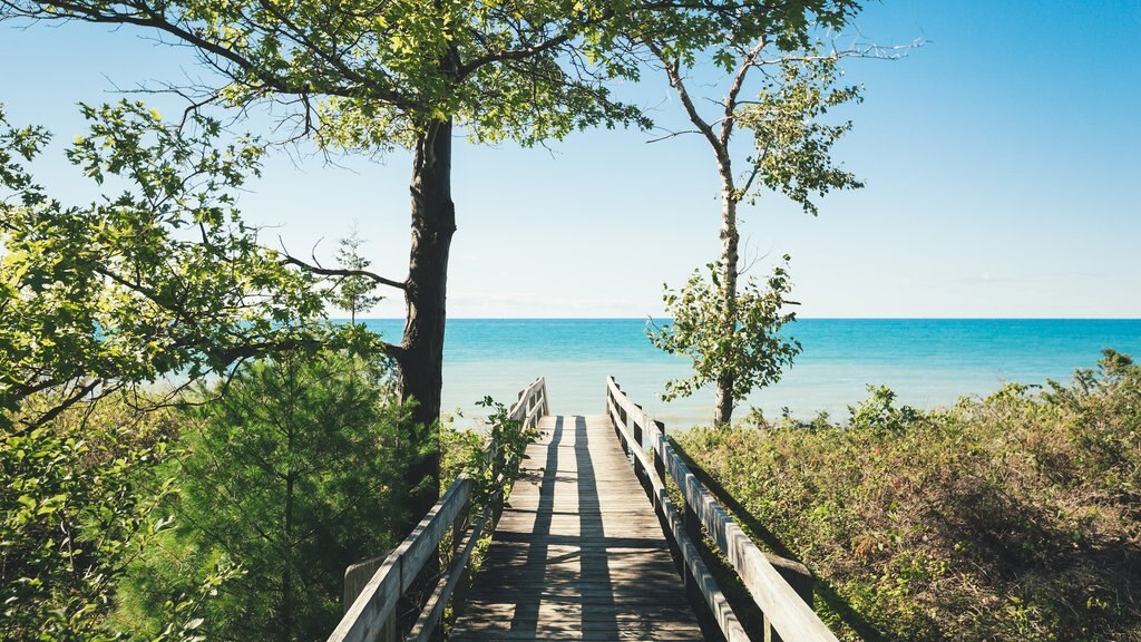 Grand Bend showing general coastal views