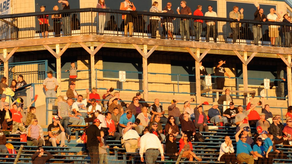 Delaware Speedway showing a sunset as well as a large group of people