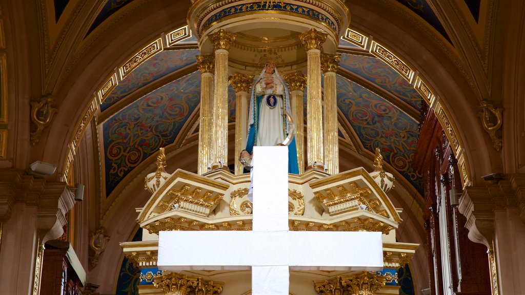 San Luis Potosi som visar interiörer och en kyrka eller katedral