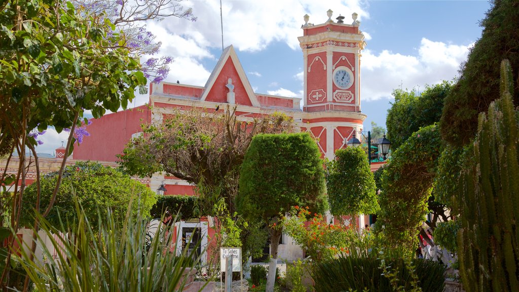 Querétaro mostrando arquitectura patrimonial, jardín y flores silvestres