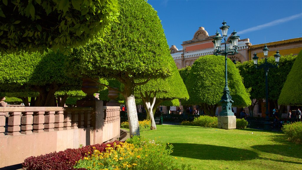 Plaza de los Mártires mostrando un jardín