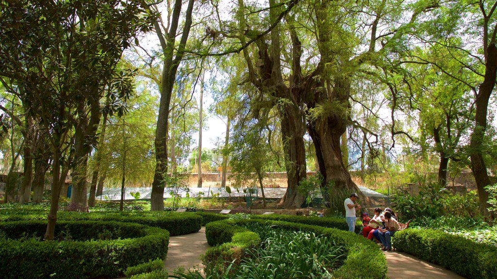 Huichapan que inclui um parque assim como um pequeno grupo de pessoas