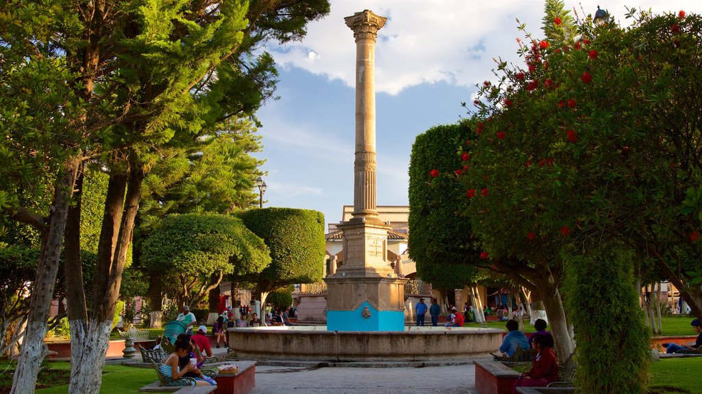 Huichapan showing a garden, wildflowers and a monument