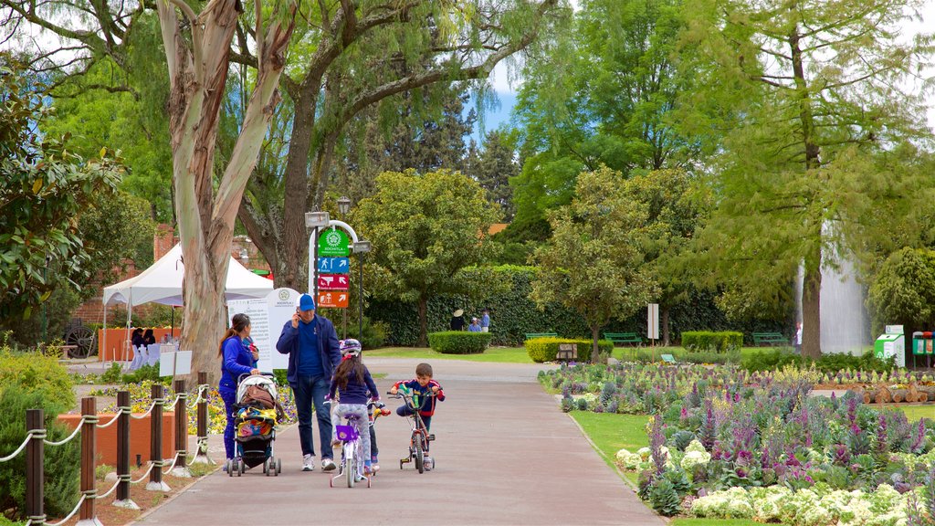 Xochitla showing a park and wild flowers as well as a family