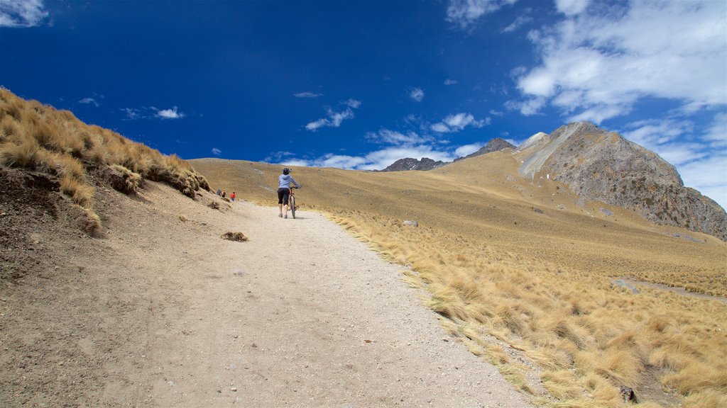 Taman Nasional Nevado de Toluca menampilkan suasana damai maupun satu wanita