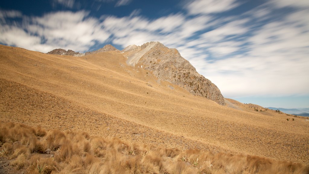 Parque Nacional Nevado de Toluca que inclui paisagem e cenas tranquilas