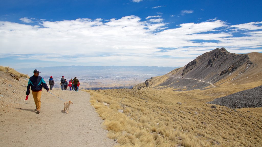 Nevado de Toluca National Park which includes landscape views and tranquil scenes as well as a small group of people