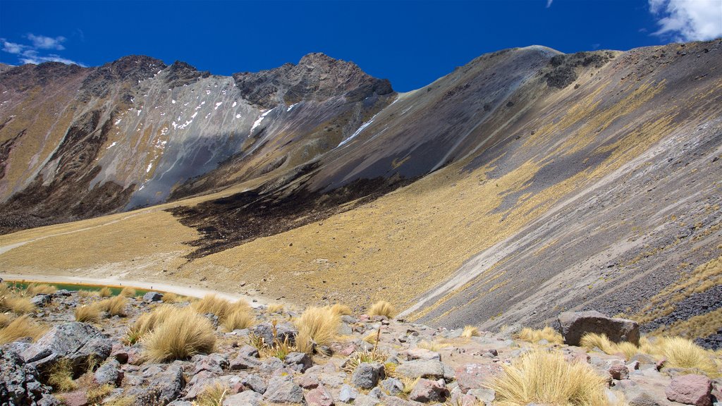 Taman Nasional Nevado de Toluca yang mencakup pemandangan lanskap dan suasana damai