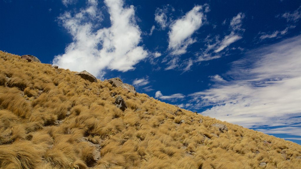 Taman Nasional Nevado de Toluca yang mencakup suasana damai