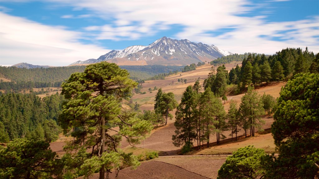 Taman Nasional Nevado de Toluca menunjukkan suasana damai dan gunung