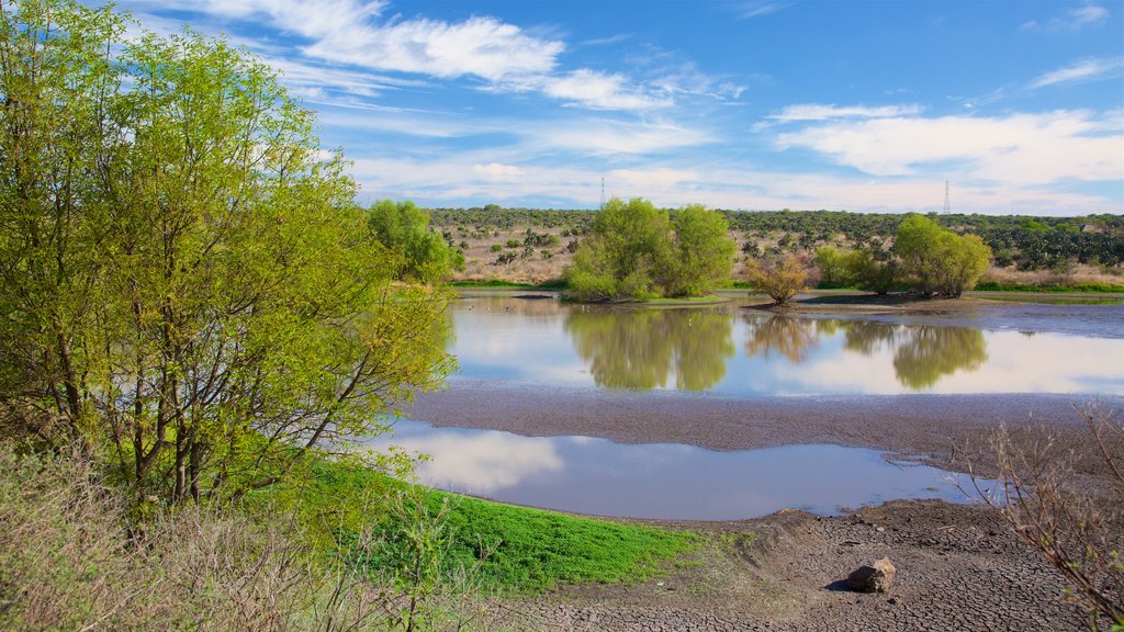 El Charco del Ingenio montrant scènes tranquilles et lac ou étang