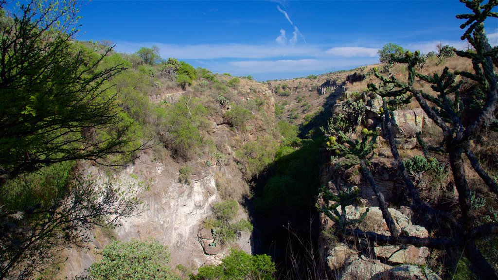 El Charco del Ingenio showing tranquil scenes and landscape views