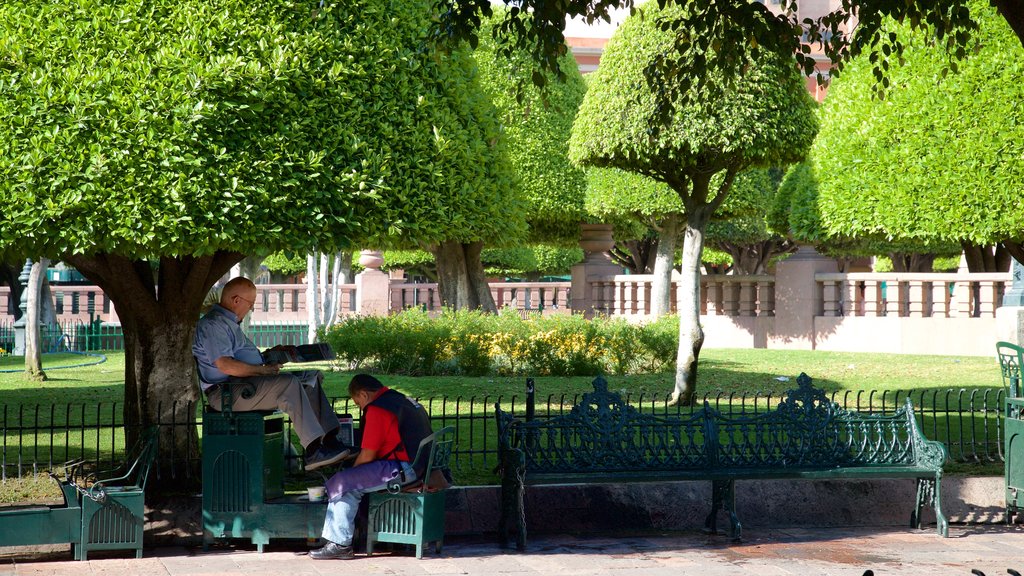 Martyrs Plaza mostrando giardino cosi come ragazzo