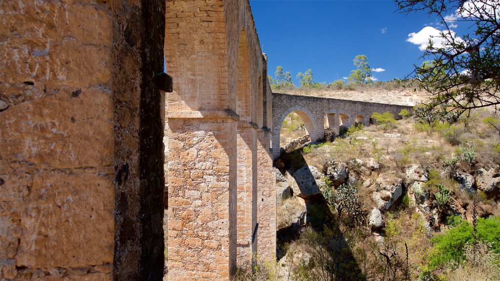 Huichapan che include ponte e paesaggi rilassanti