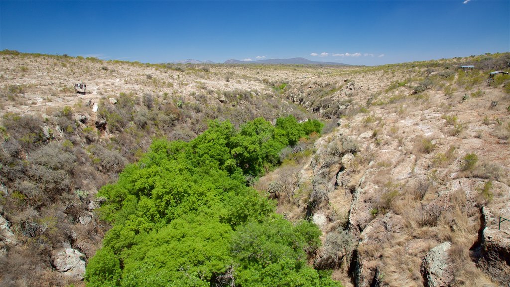 Saucillo Arches Ecopark showing landscape views and desert views