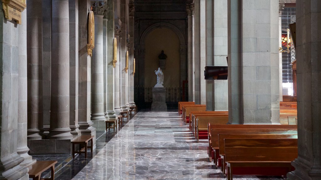 Toluca que incluye vistas interiores y una iglesia o catedral