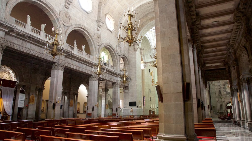 Toluca montrant scènes intérieures et une église ou une cathédrale