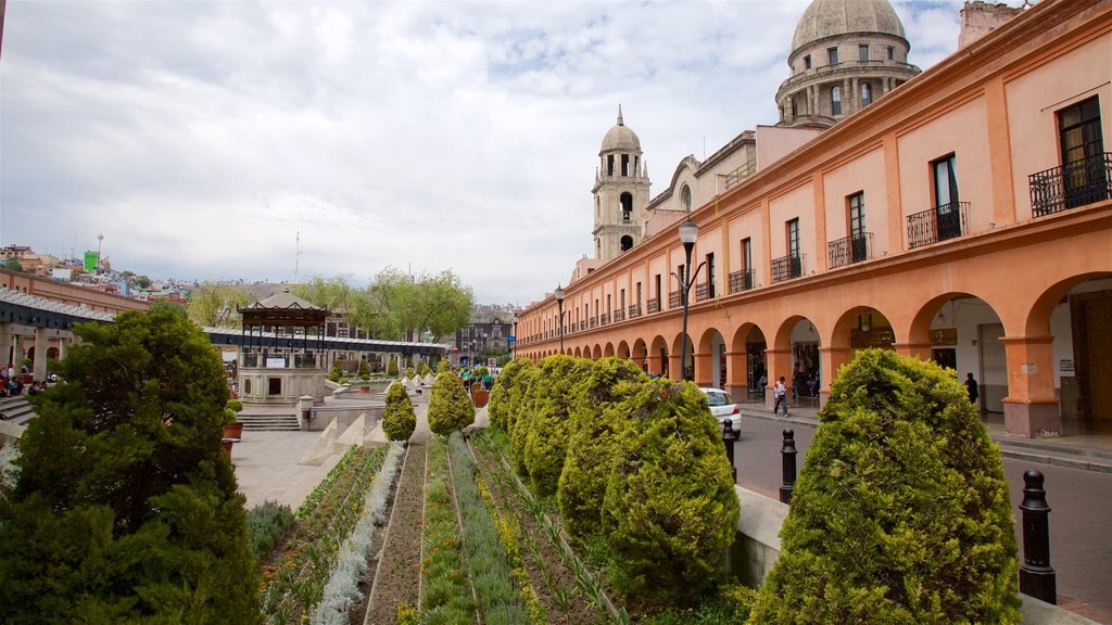 Toluca which includes a park