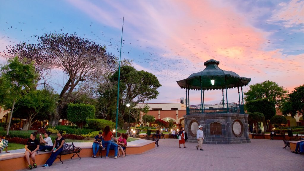 Tequisquiapan som inkluderer solnedgang, hage og torg eller plass