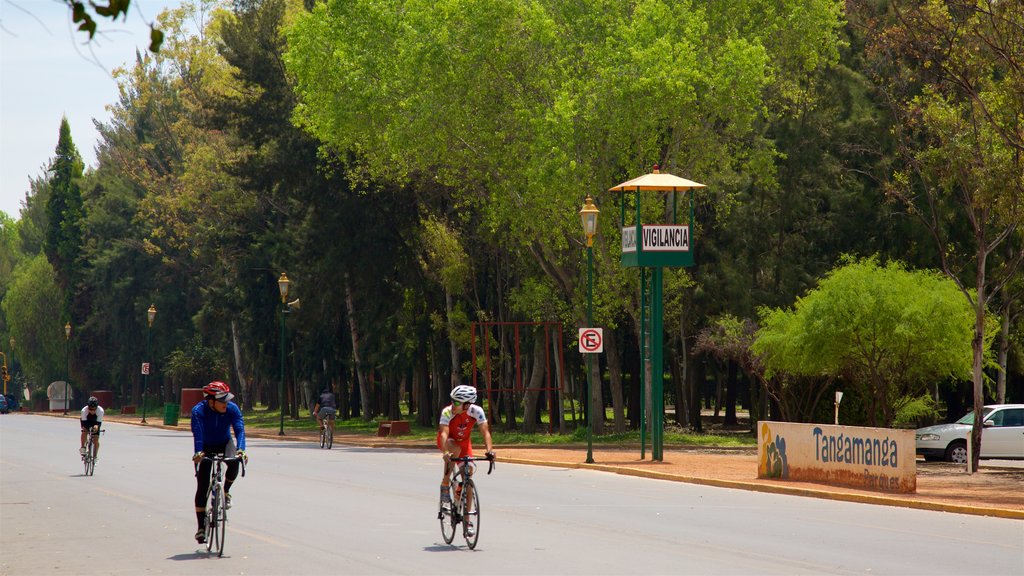 México que inclui ciclismo urbano e um jardim assim como um pequeno grupo de pessoas