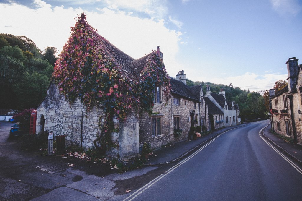 ivy-barn-t-qk8jGEoBk-unsplash.jpg?1590463982