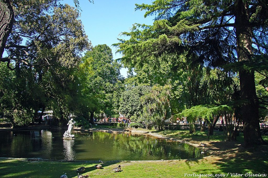 1280px-Jardim_da_Estrela_-_Lisboa_-_Portugal_%2814644283170%29.jpg?1589291472