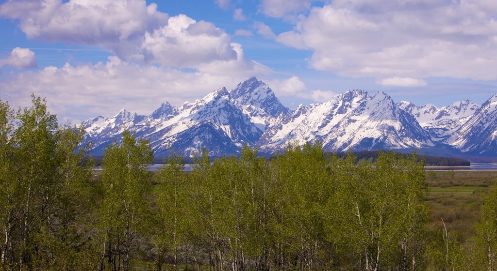 Taman Nasional Grand Teton yang mencakup suasana damai, salju dan gunung