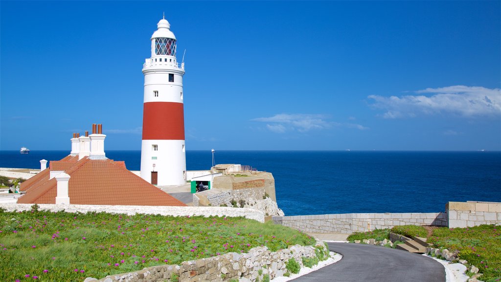 Europa Point Lighthouse caracterizando paisagens litorâneas, um farol e flores silvestres