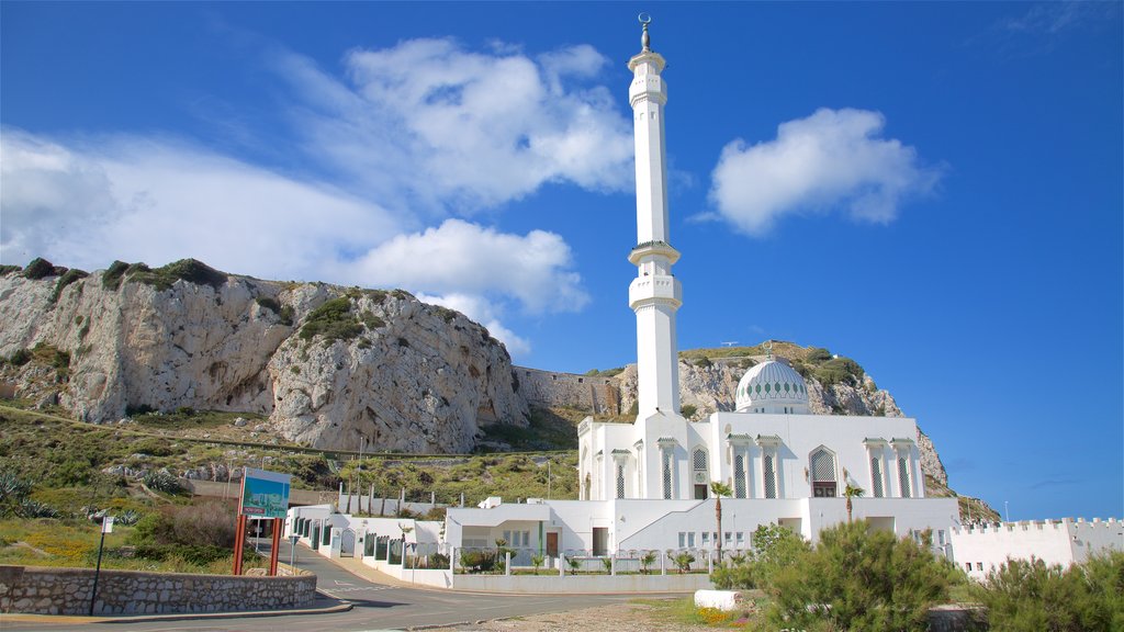 Ibrahim-Al-Ibrahim Mosque showing general coastal views and heritage architecture