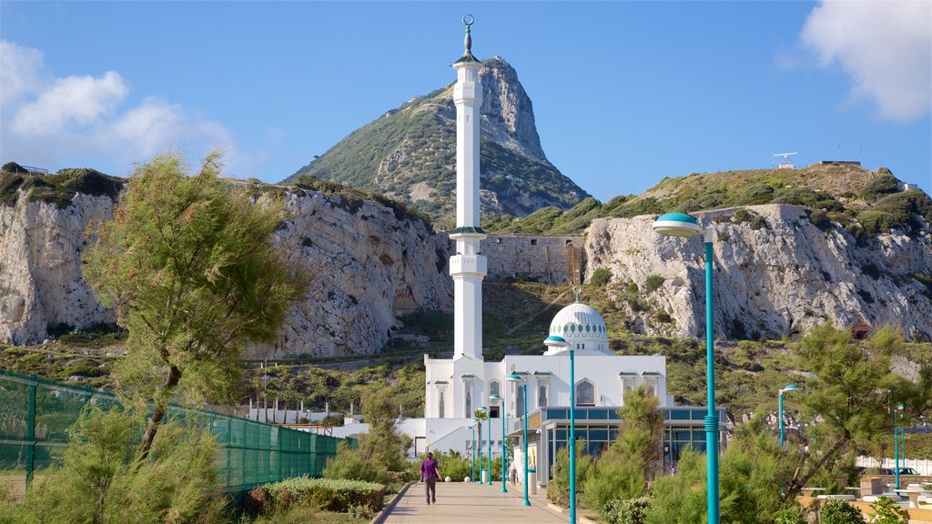 Ibrahim-Al-Ibrahim Mosque showing mountains, tranquil scenes and heritage architecture