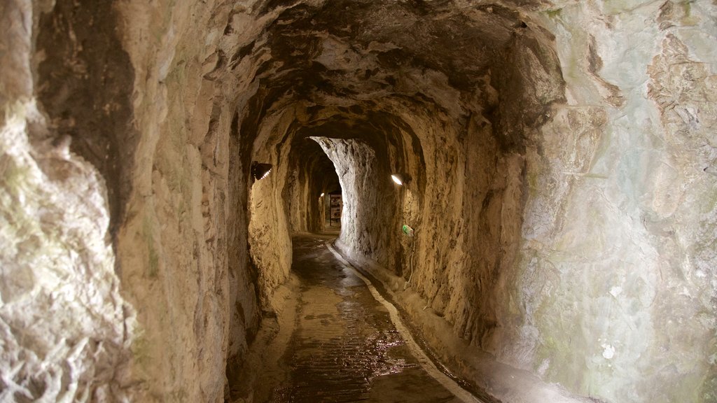 Military Heritage Centre and Great Siege Tunnels som viser huleforskning