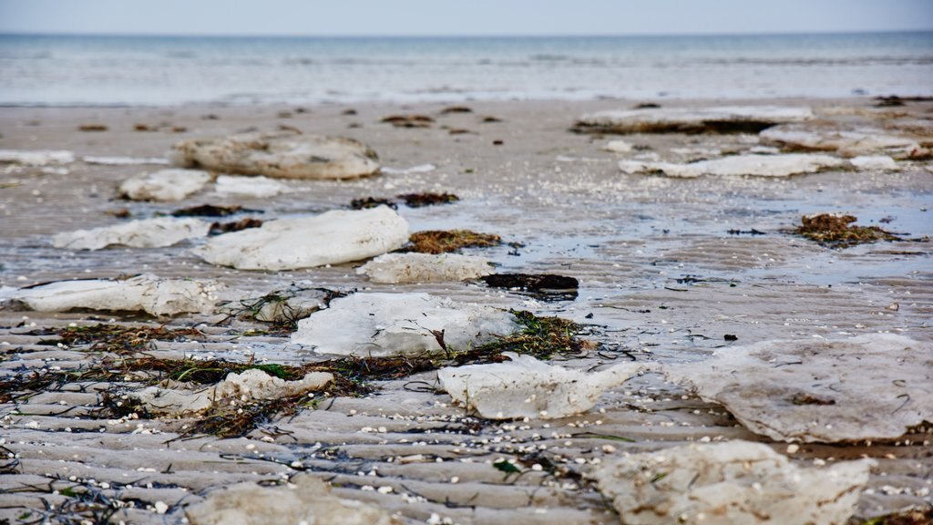 Oster Hurup featuring rocky coastline