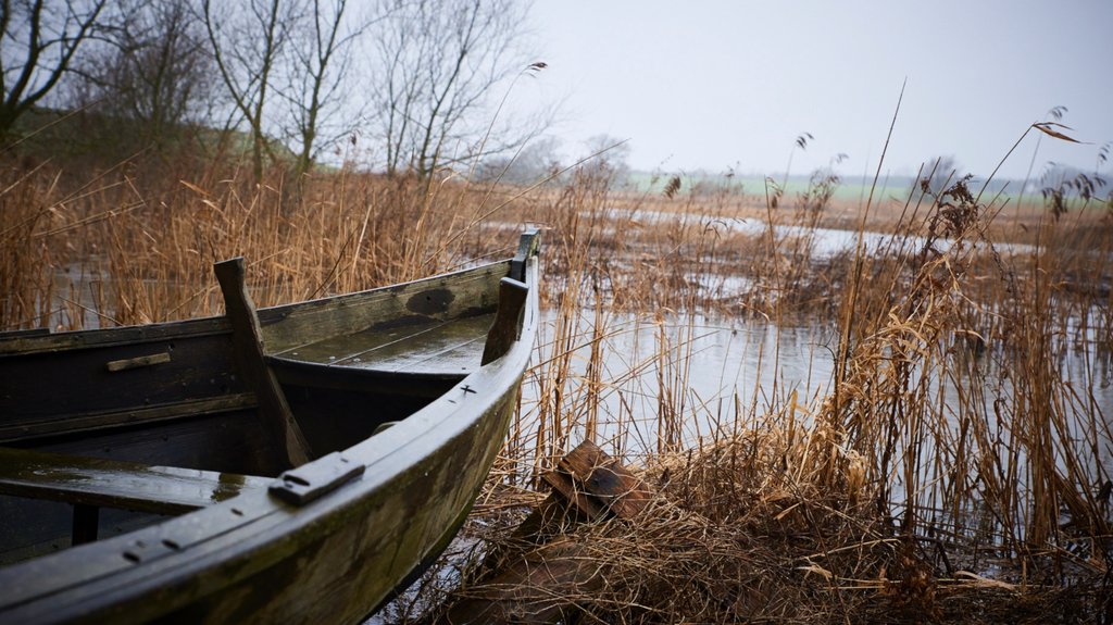 Slagelse showing tranquil scenes and wetlands