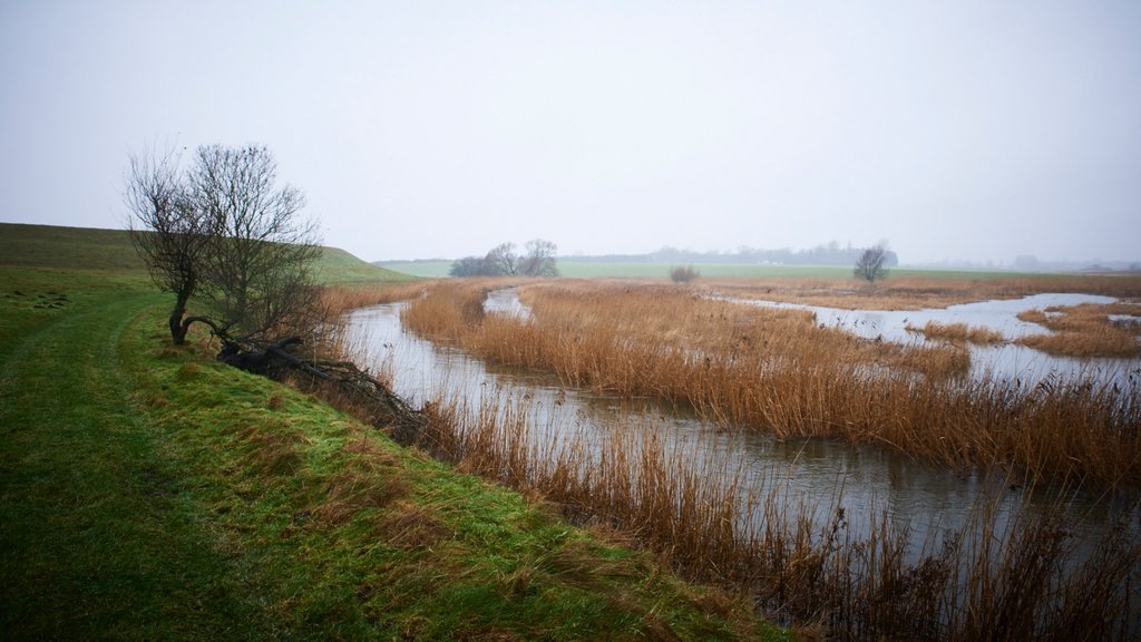 Slagelse toont vredige uitzichten en een meer of poel